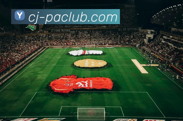 PA官方入口发展历程