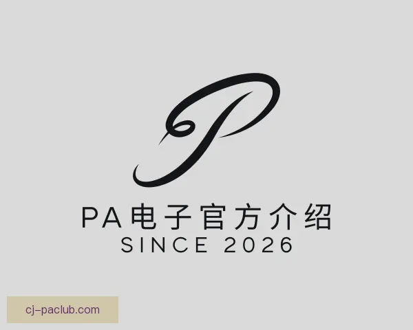知道PA电子官方介绍